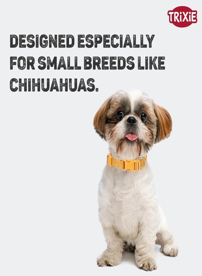 تريكسي طوق تريكسي المميز - طوق كلاب من النايلون قابل للتعديل ومتين، مريح، مزود بإبزيم قوي، خفيف الوزن وأنيق، مناسب للسلالات الصغيرة والجراء بمقاس XS-S (كاري) - Image 4